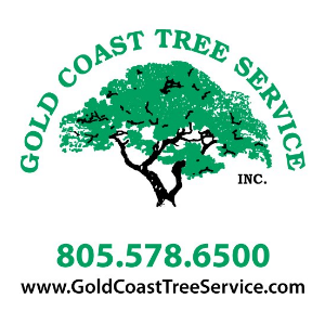 Gold Coast Tree Service