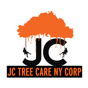J C Tree Care NY Corporation
