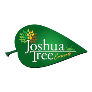 Joshua Tree Experts