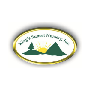 King_s Sunset Nursery