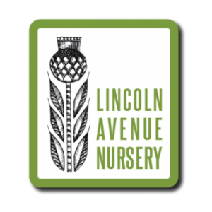 Lincoln Avenue Nursery