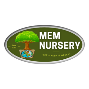 MEM Nursery