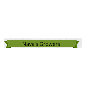 Nava_s Growers Nursery