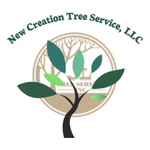 New Creation Tree Service