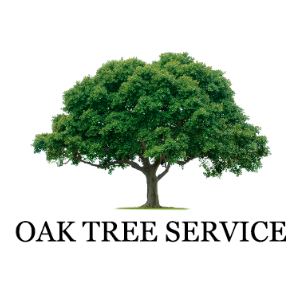 Oak Tree Service