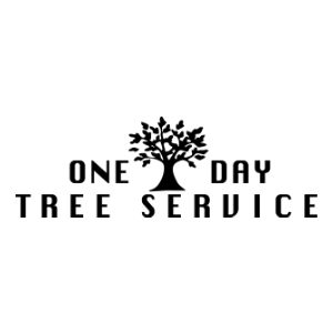 One Day Tree Service