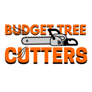 Paul Budget Tree Cutters