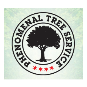 Phenomenal Tree Service