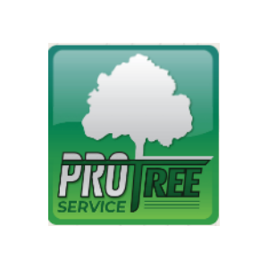 Pro Tree Service