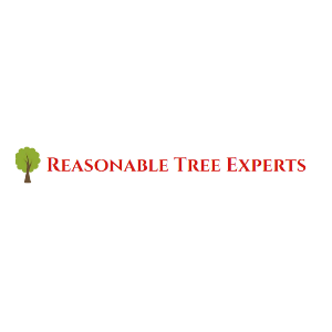 Reasonable Tree Experts