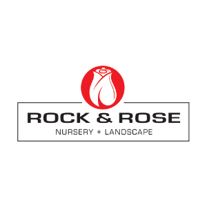 Rock _ Rose Nursery _ Landscape