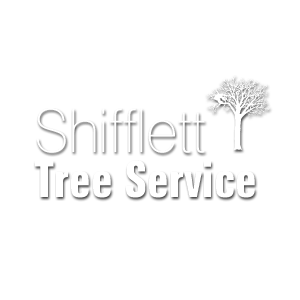 Shifflett Tree Service