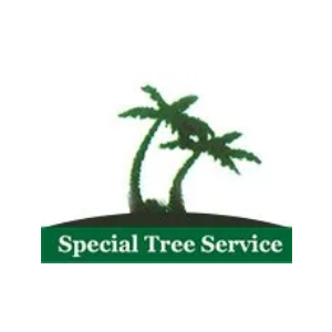 Special Tree Service