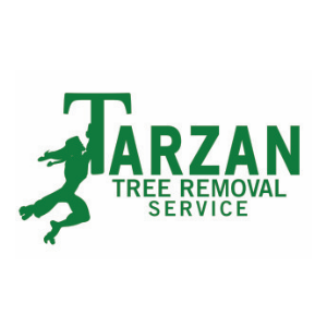 Tarzan Tree Removal