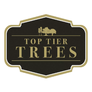 Top Tier Trees