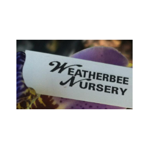 Weatherbee Nursery
