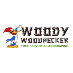 Woody Woodpecker