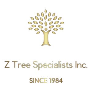 Z-Tree Specialists, Inc.