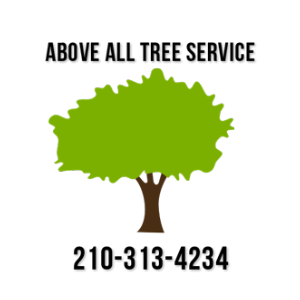 Above All Tree Service