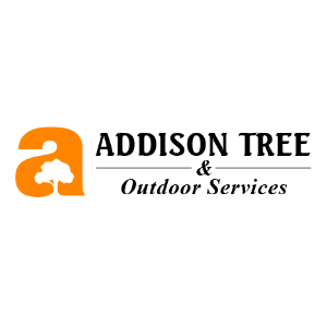 The Best Tree Services in Detroit, Michigan of 2023 - Trees.com