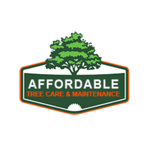 Affordable Tree Care and Maintenance