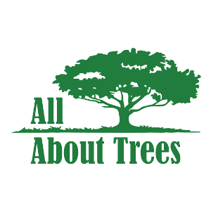 All About Trees