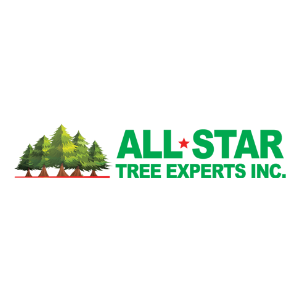 All Star Tree Experts