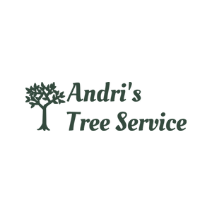 Andrii_s Tree Service