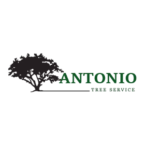 Antonio Tree Service