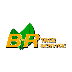 B_R Tree Service, Inc.