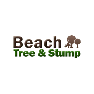 Beach Tree _ Stump