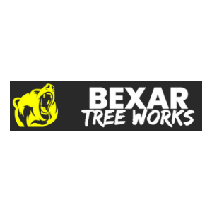 Bexar Tree Works