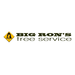 Big Ron_s Tree Service LLC
