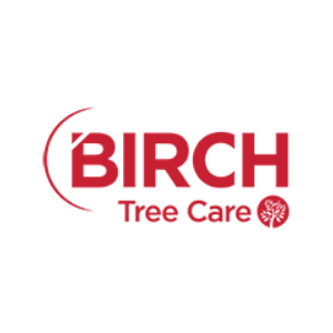 Birch Tree Care