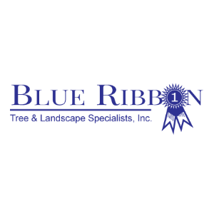Blue Ribbon Tree _ Landscape Specialists, Inc.