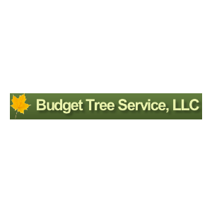 Budget Tree Service, LLC