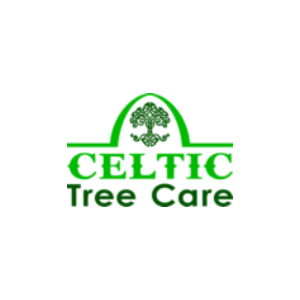 Celtic Services VB, LLC