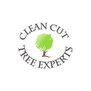 Clean Cut Tree Experts