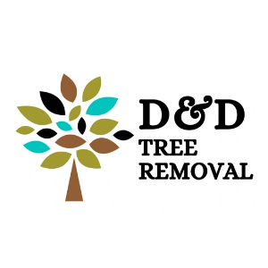D_D Tree Removal