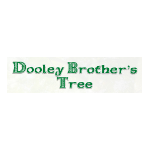 Dooley Brother's Tree