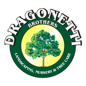 Dragonetti Brothers Tree Removal