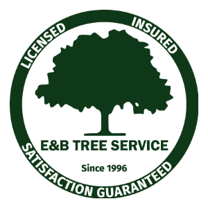 E _ B Tree Service and Landscaping
