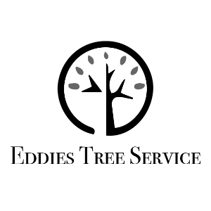 Eddie_s Tree Service