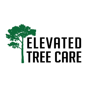 Elevated Tree Care