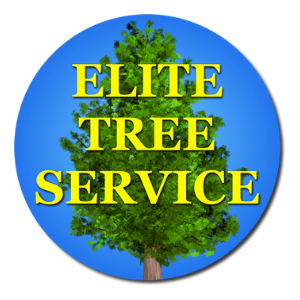 Elite Tree Service