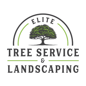 Elite Tree Service _ Landscaping