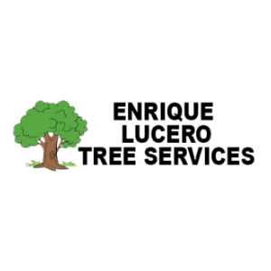 Enrique_s Tree Services
