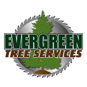 Evergreen Tree Services