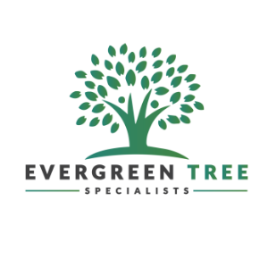 Evergreen Tree Specialists