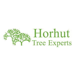 Horhut Tree Experts